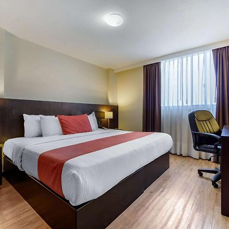 Comfort Inn San Luis Potosí Екстериор снимка